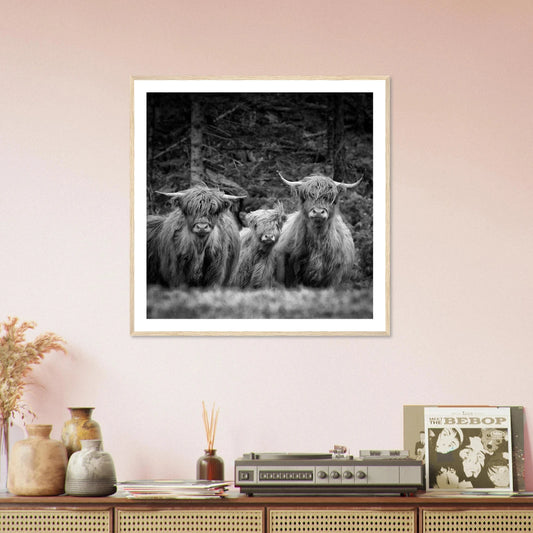 Sjøhus ved Lykling på Bømlo | Premium plakat i matt papir med treramme - Danielfoto50x50 cm / 20x20″Premium plakat i matt papir -