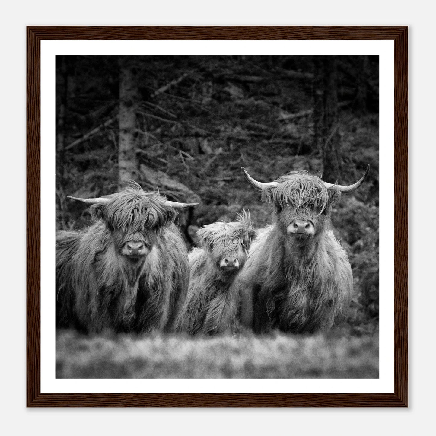 Sjøhus ved Lykling på Bømlo | Premium plakat i matt papir med treramme - Danielfoto50x50 cm / 20x20″Premium plakat i matt papir -