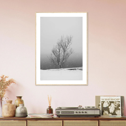 Enslig vintertre | Premium plakat | Treramme - DanielfotoPremium plakat i matt papir med trerammeTreramme21x29.7 cm / 8x12"