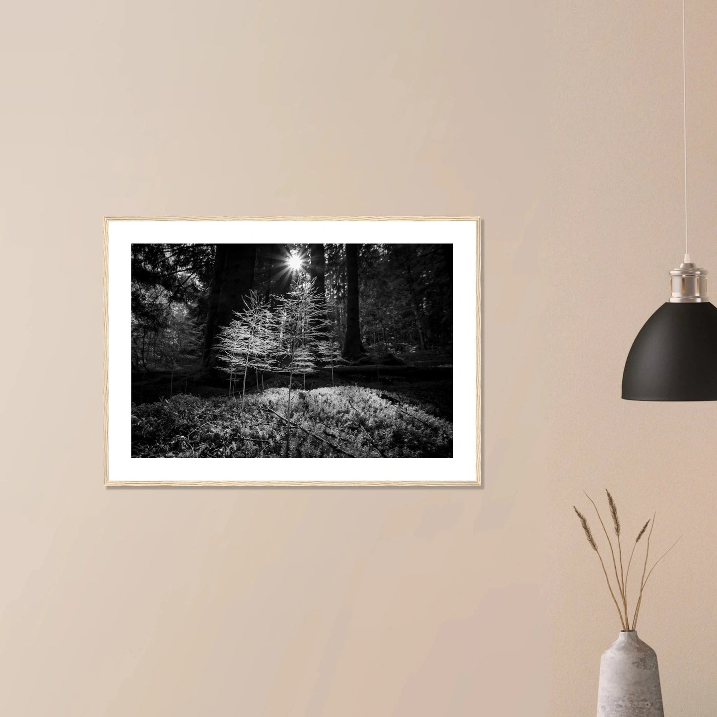Miniatyrskog – Arboretet i Bergen | Premium plakat | Treramme - DanielfotoPremium plakat i matt papir med trerammeTreramme21x29.7 cm / 8x12"