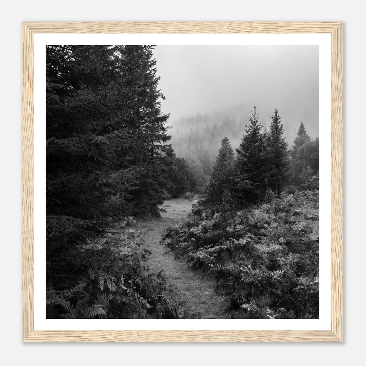 Tåkesti i Hardangerskogen | Premium plakat | Treramme - Danielfoto30x30 cm / 12x12″Premium plakat i matt papir -