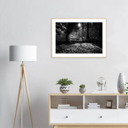 Miniatyrskog – Arboretet i Bergen | Premium plakat | Treramme - DanielfotoPremium plakat i matt papir med trerammeTreramme21x29.7 cm / 8x12"