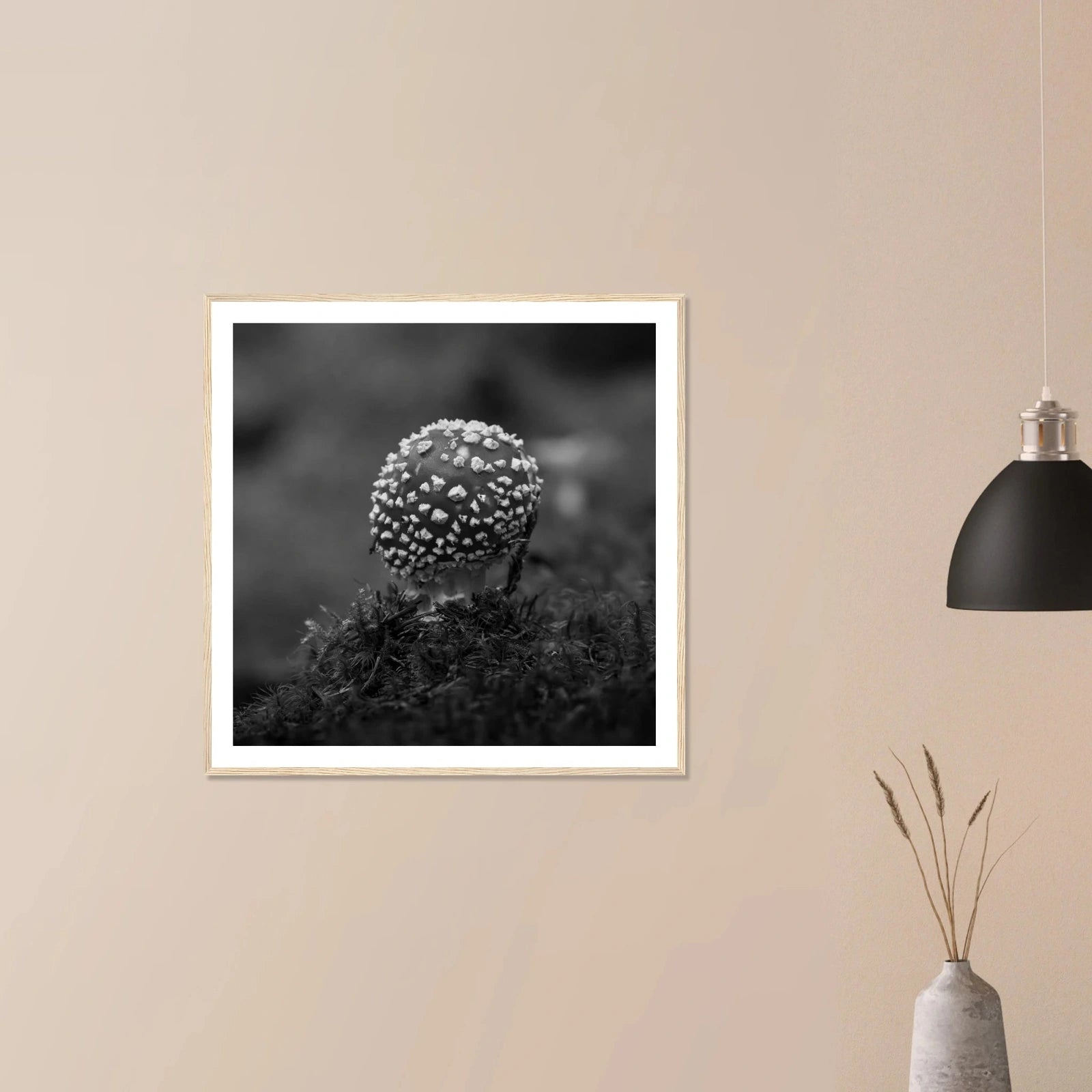 Fluesopp i Hardanger | Premium plakat | Treramme - Danielfoto30x30 cm / 12x12″Premium plakat i matt papir - 