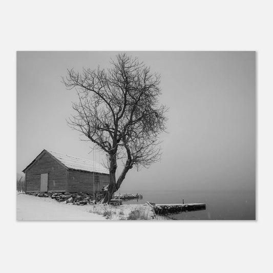 Et rolig vinter øyeblikk fra Aga | Premium plakat | Treramme - DanielfotoUten ramme21x29.7 cm / 8x12"