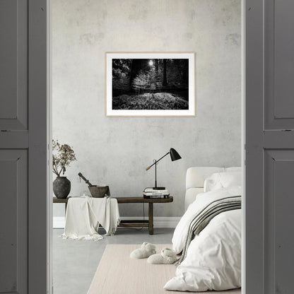 Miniatyrskog – Arboretet i Bergen | Premium plakat | Treramme - DanielfotoPremium plakat i matt papir med trerammeTreramme21x29.7 cm / 8x12"