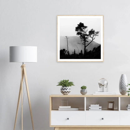 Tre i Hausdalen | Premium plakat | Treramme - Danielfoto70x70 cm / 28x28″Premium plakat i matt papir - 