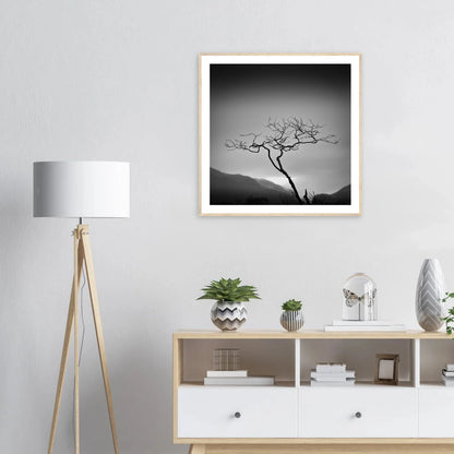 Ensomt tre ved Bondhusvatnet | Premium plakat | Treramme - Danielfoto70x70 cm / 28x28″Premium plakat i matt papir - 