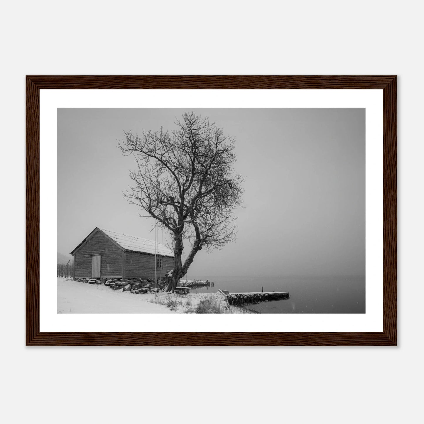 Kirsebærtre ved Festplassen i Bergen | Premium plakat | Treramme - DanielfotoA1 (59.4 x 84.1 cm)Premium plakat i matt papir - 