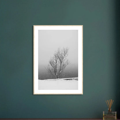 Enslig vintertre | Premium plakat | Treramme - DanielfotoPremium plakat i matt papir med trerammeTreramme21x29.7 cm / 8x12"