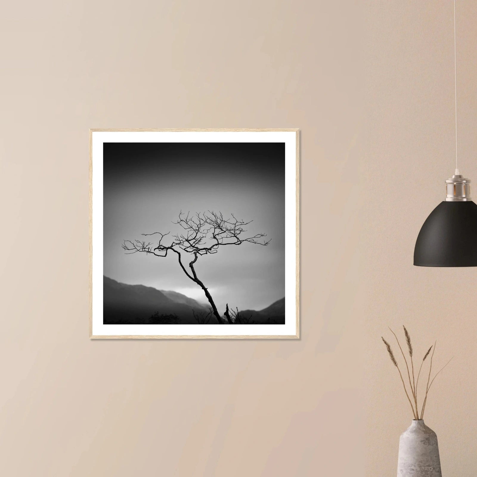 Ensomt tre ved Bondhusvatnet | Premium plakat | Treramme - Danielfoto70x70 cm / 28x28″Premium plakat i matt papir - 