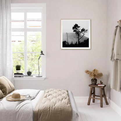 Tre i Hausdalen | Premium plakat | Treramme - Danielfoto70x70 cm / 28x28″Premium plakat i matt papir - 