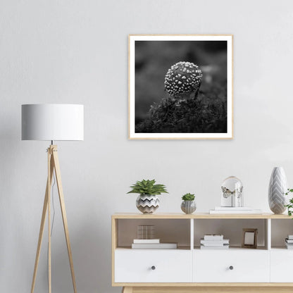 Fluesopp i Hardanger | Premium plakat | Treramme - Danielfoto30x30 cm / 12x12″Premium plakat i matt papir - 