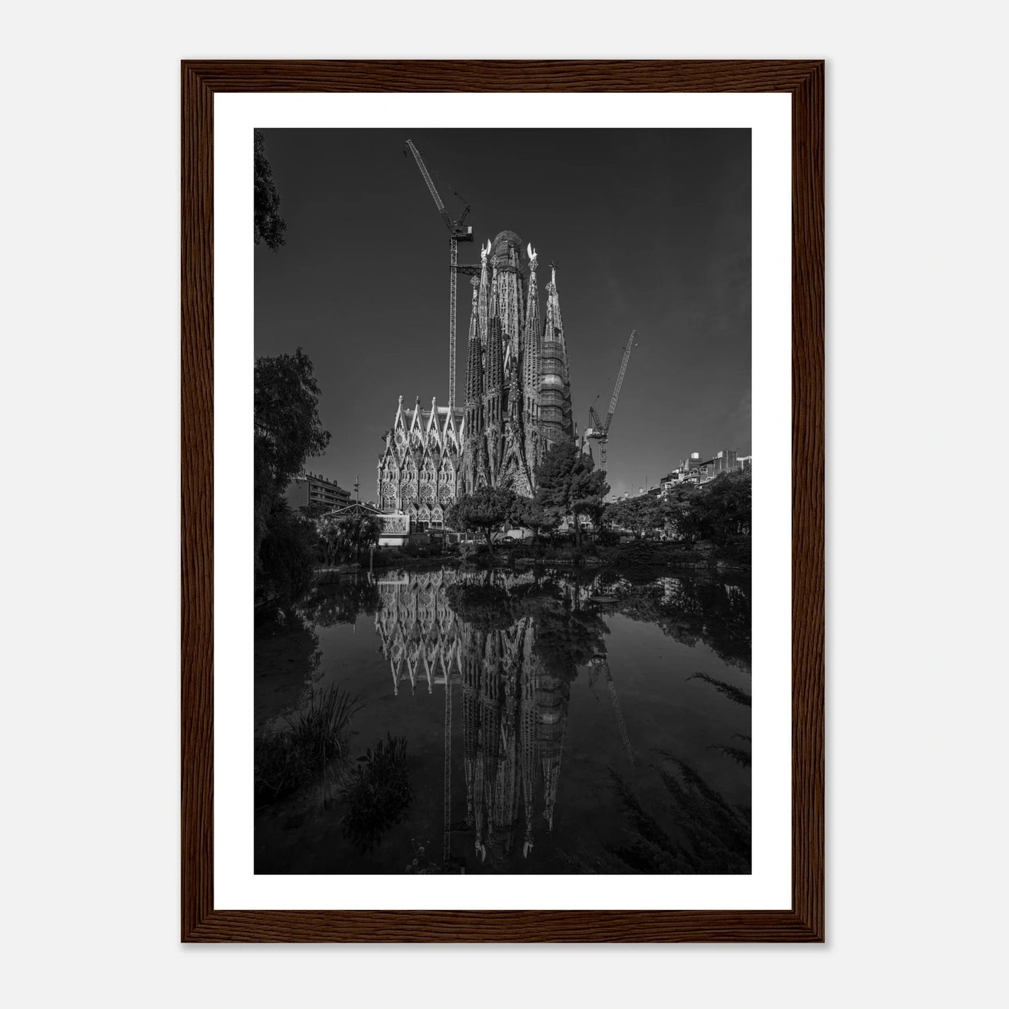 Sagrada Família | Premium plakat | Treramme - DanielfotoPremium plakat i matt papir med trerammeSvart ramme21x29.7 cm / 8x12"