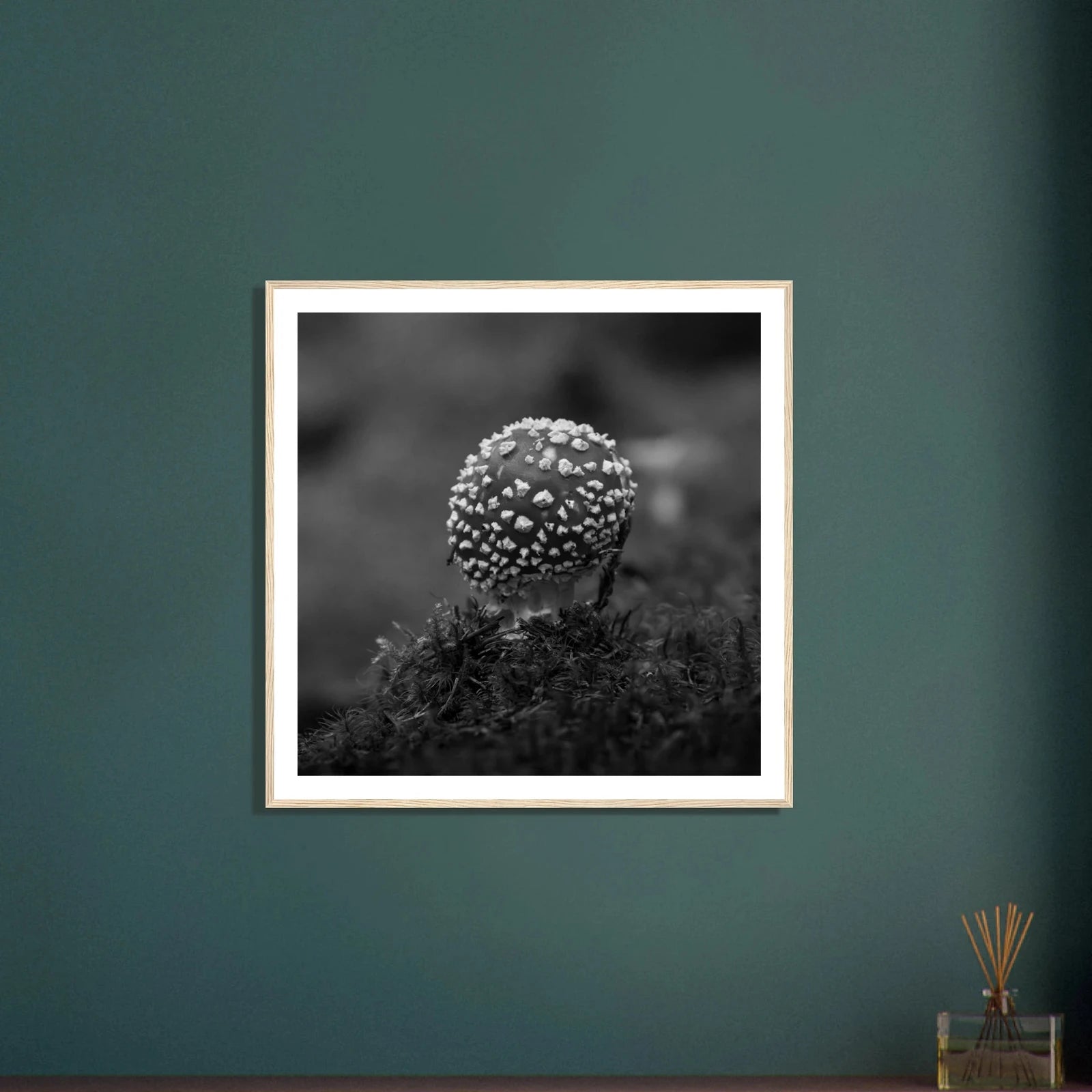 Fluesopp i Hardanger | Premium plakat | Treramme - Danielfoto30x30 cm / 12x12″Premium plakat i matt papir - 