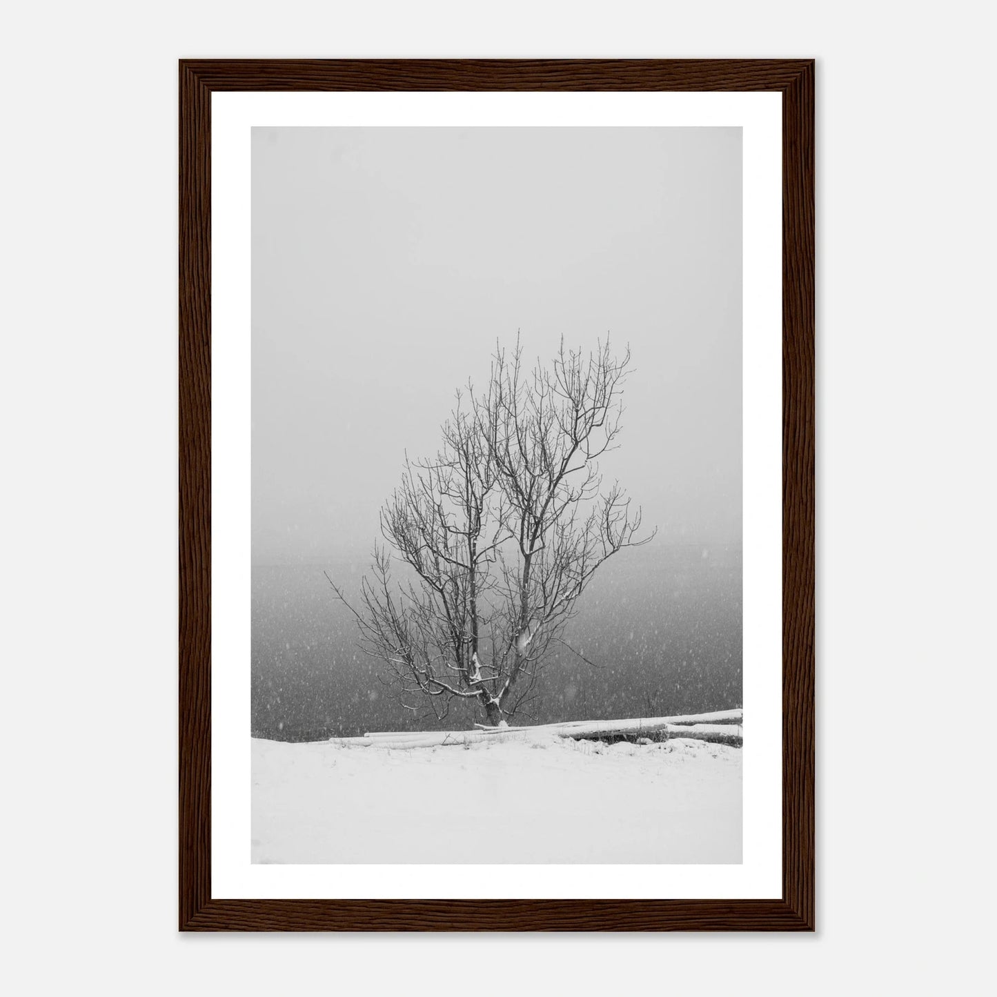 Enslig vintertre | Premium plakat | Treramme - DanielfotoPremium plakat i matt papir med trerammeHvit ramme21x29.7 cm / 8x12"