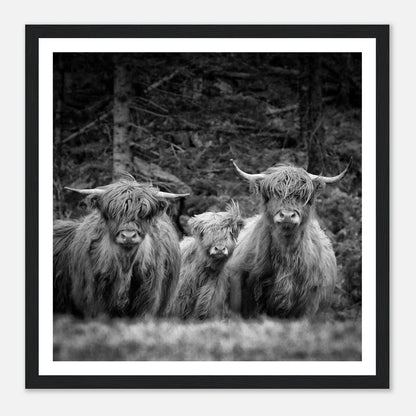 Sjøhus ved Lykling på Bømlo | Premium plakat i matt papir med treramme - Danielfoto50x50 cm / 20x20″Premium plakat i matt papir - 