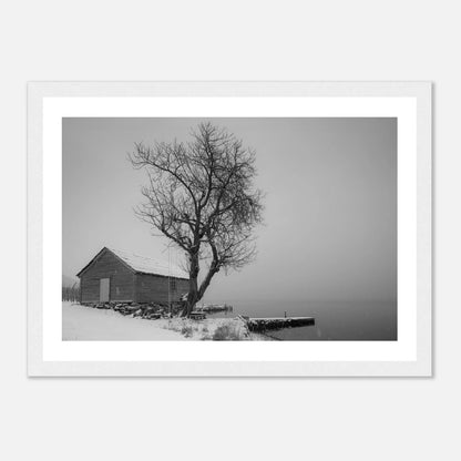 Kirsebærtre ved Festplassen i Bergen | Premium plakat | Treramme - DanielfotoA1 (59.4 x 84.1 cm)Premium plakat i matt papir - 