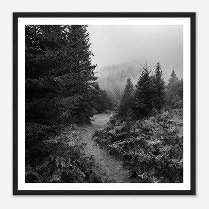 Tåkesti i Hardangerskogen | Premium plakat | Treramme - Danielfoto30x30 cm / 12x12″Premium plakat i matt papir - 