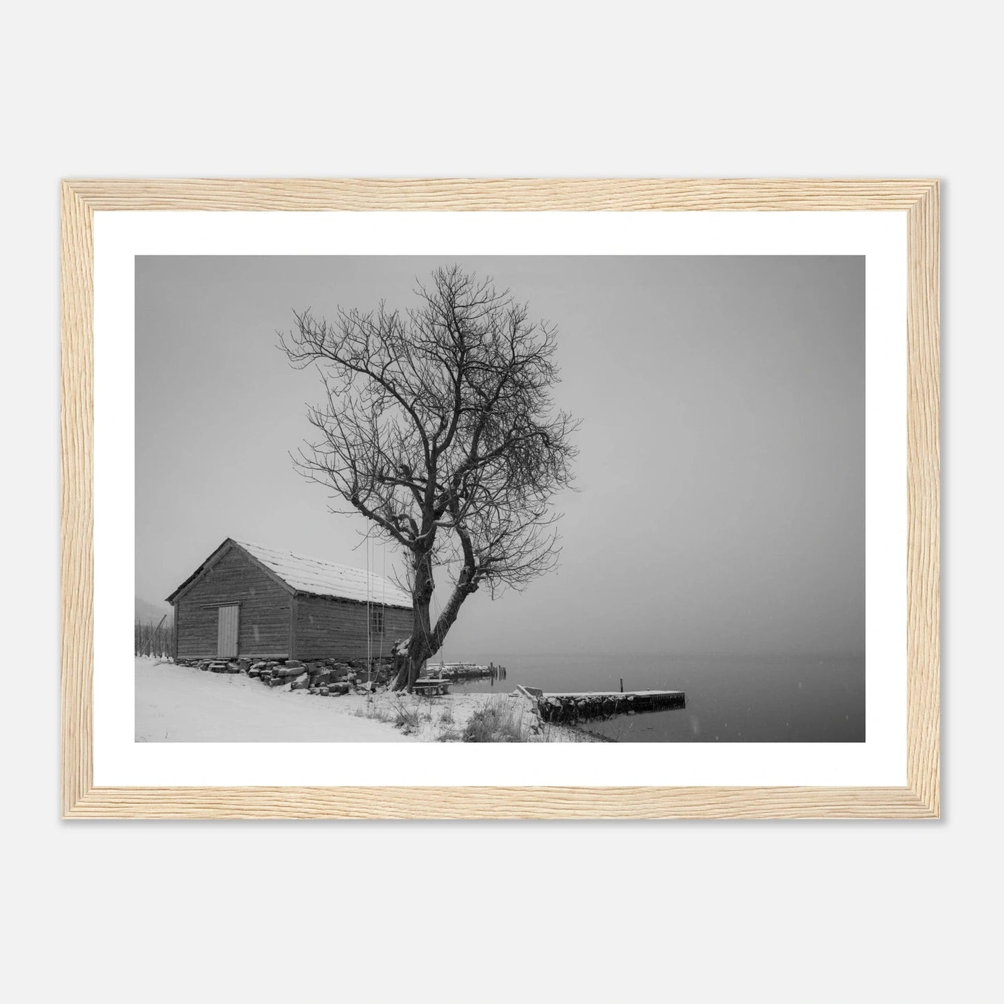 Kirsebærtre ved Festplassen i Bergen | Premium plakat | Treramme - DanielfotoA1 (59.4 x 84.1 cm)Premium plakat i matt papir - 