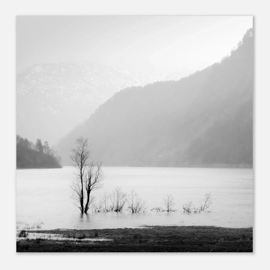 Stillheten ved Øvredalsvatnet | Premium plakat | Treramme - DanielfotoUten ramme30x30 cm / 12x12″