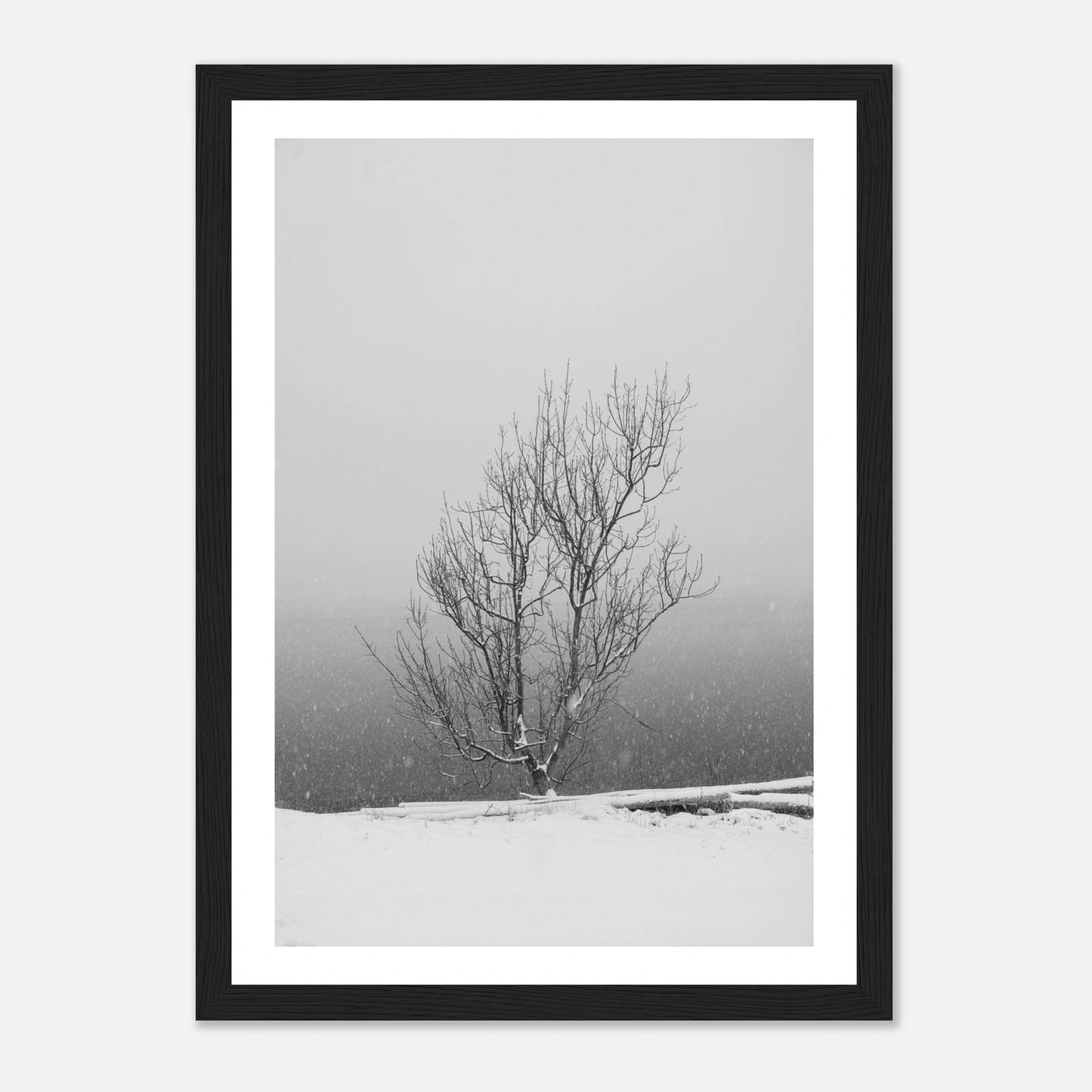 Enslig vintertre | Premium plakat | Treramme - DanielfotoPremium plakat i matt papir med trerammeHvit ramme21x29.7 cm / 8x12"