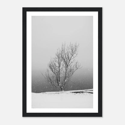 Enslig vintertre | Premium plakat | Treramme - DanielfotoPremium plakat i matt papir med trerammeHvit ramme21x29.7 cm / 8x12"