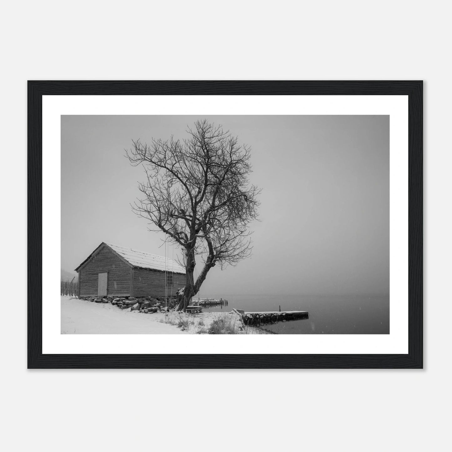 Kirsebærtre ved Festplassen i Bergen | Premium plakat | Treramme - DanielfotoA1 (59.4 x 84.1 cm)Premium plakat i matt papir - 
