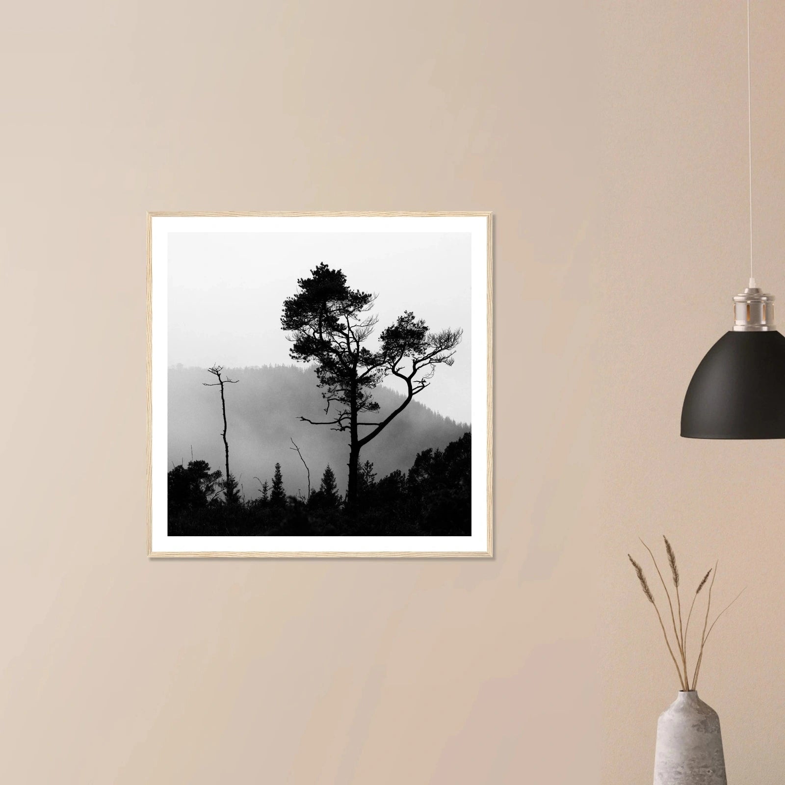 Tre i Hausdalen | Premium plakat | Treramme - Danielfoto70x70 cm / 28x28″Premium plakat i matt papir - 