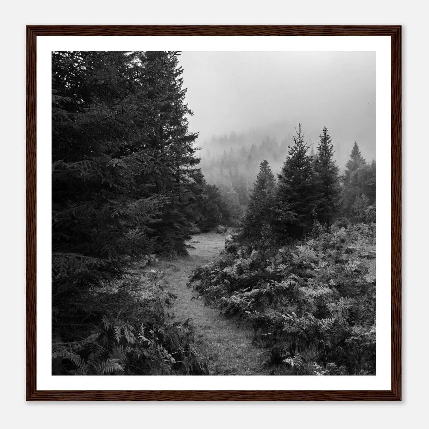 Tåkesti i Hardangerskogen | Premium plakat | Treramme - Danielfoto30x30 cm / 12x12″Premium plakat i matt papir - 
