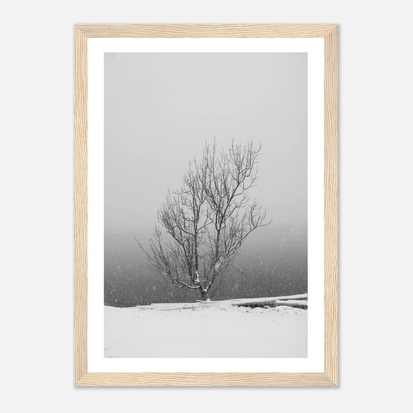 Enslig vintertre | Premium plakat | Treramme - DanielfotoPremium plakat i matt papir med trerammeHvit ramme21x29.7 cm / 8x12"