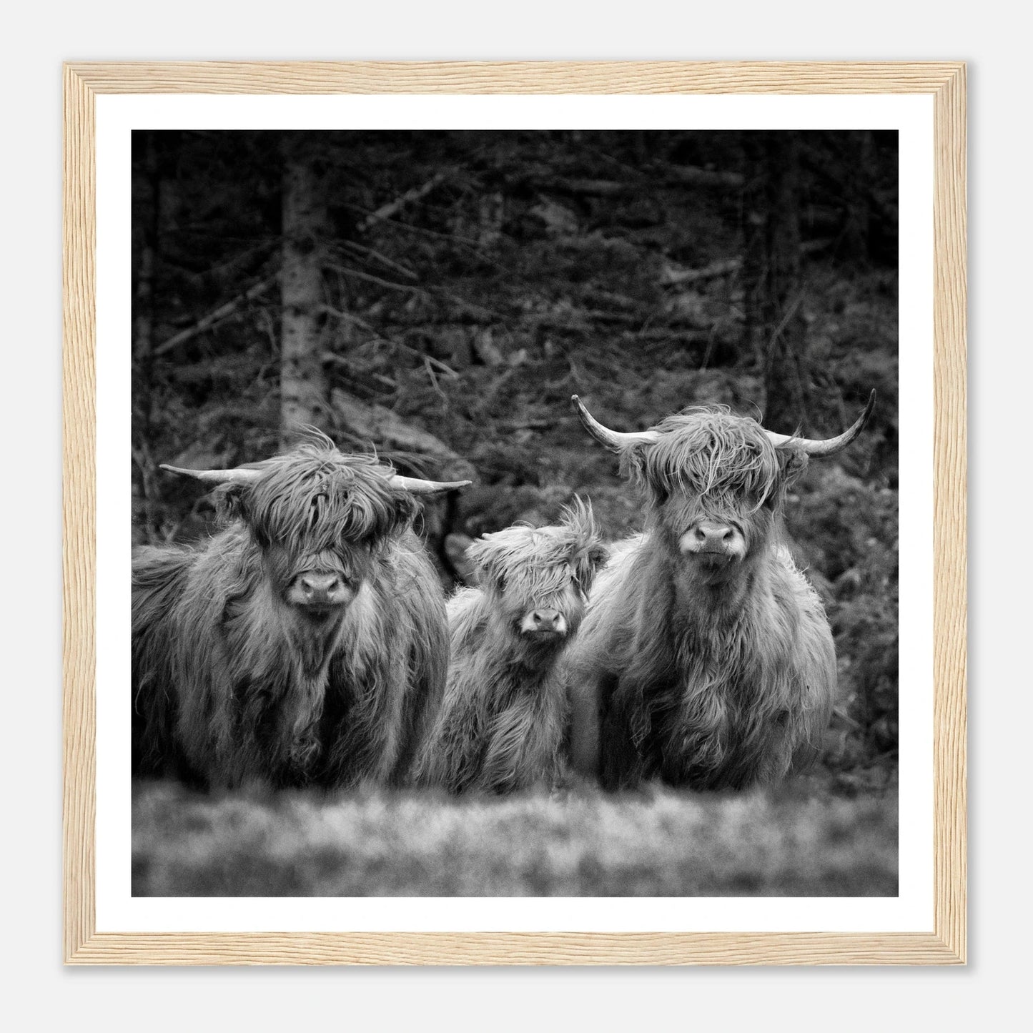 Sjøhus ved Lykling på Bømlo | Premium plakat i matt papir med treramme - Danielfoto50x50 cm / 20x20″Premium plakat i matt papir - 