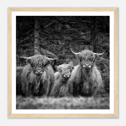 Sjøhus ved Lykling på Bømlo | Premium plakat i matt papir med treramme - Danielfoto50x50 cm / 20x20″Premium plakat i matt papir - 