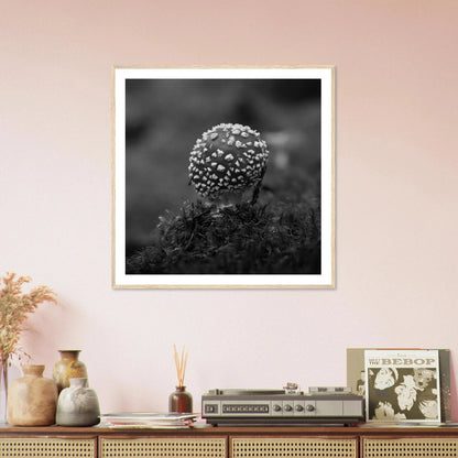 Fluesopp i Hardanger | Premium plakat | Treramme - Danielfoto30x30 cm / 12x12″Premium plakat i matt papir - 
